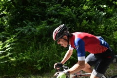 FAZ_0782